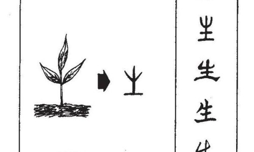 熏鸽子的做法大全-熏鸽的功效-长丰县公共资源交易中心网站,中国薰鸽功效网站
