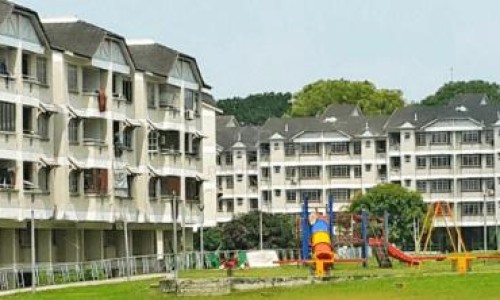 熏鸽-熏鸽的功效-长丰县公共资源交易中心网站,中国薰鸽功效网站