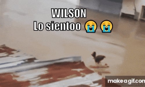 怀孕可以吃多春鱼吗？怀孕吃什么比较好